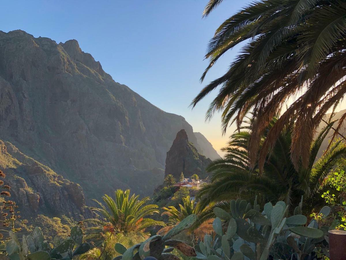 Top View Acantilados De Los Gigantes 阿坎提拉德洛斯基 外观 照片
