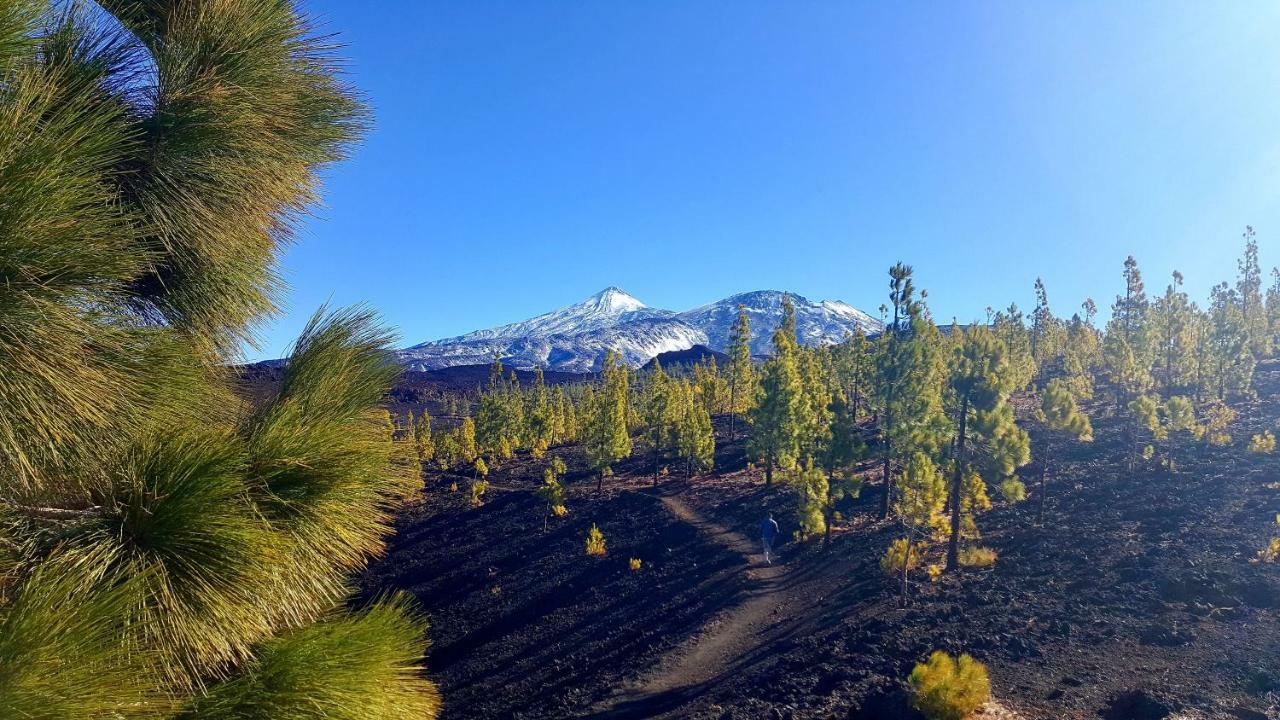 Top View Acantilados De Los Gigantes 阿坎提拉德洛斯基 外观 照片